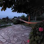 θαλλώ Luxurious ツァガラダ