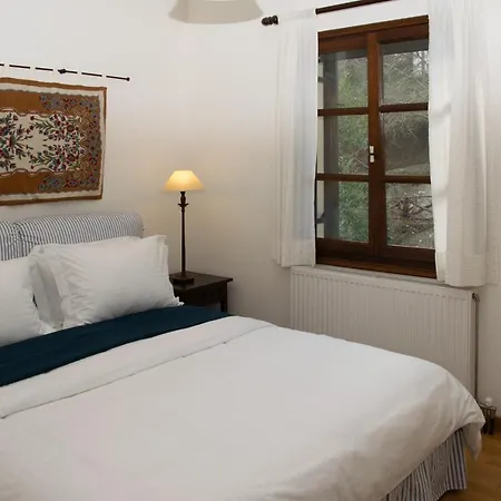 θαλλώ Luxurious * Cangaráda