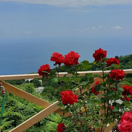 θαλλώ Luxurious * Tsagarada