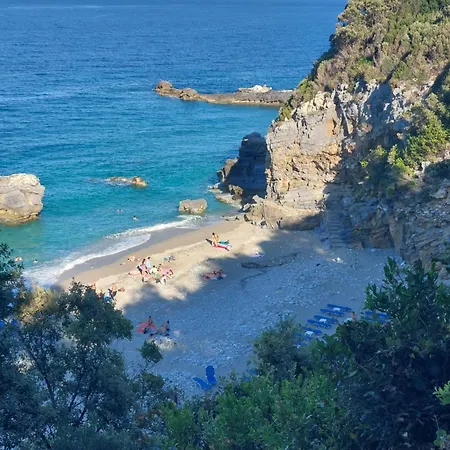 θαλλώ Luxurious *