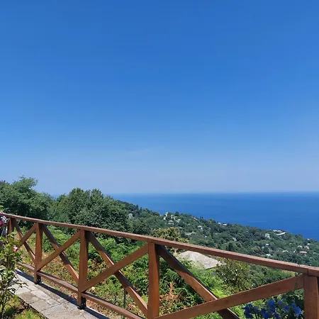 θαλλώ Luxurious