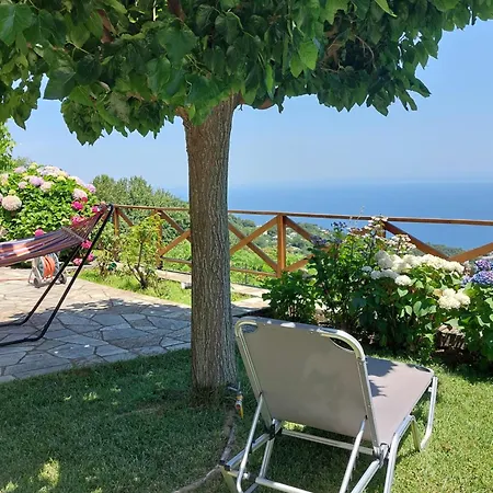 θαλλώ Luxurious Tsagarada