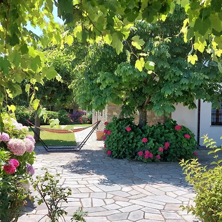 Villa θαλλώ Luxurious *