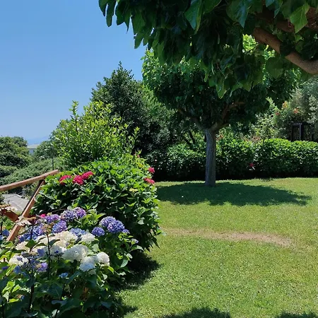 Villa θαλλώ Luxurious *