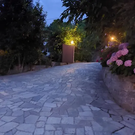 θαλλώ Luxurious