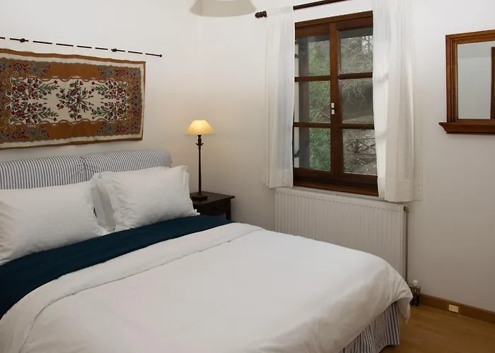 θαλλώ Luxurious * Τσαγκαράδα