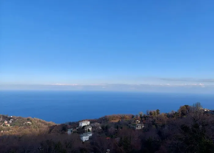 θαλλώ Luxurious *