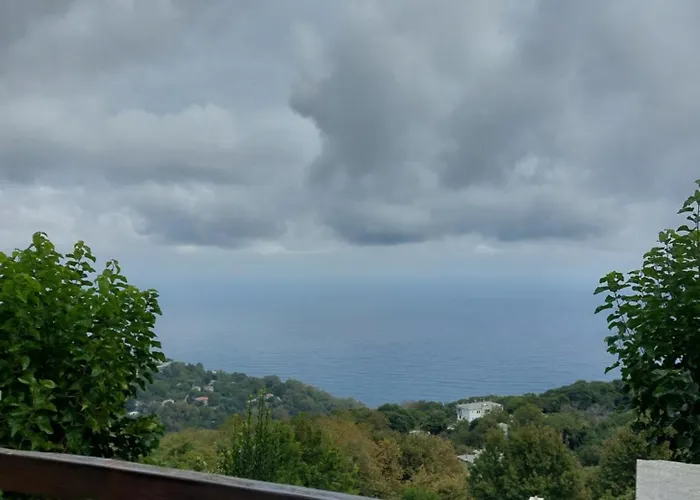 θαλλώ Luxurious Βίλα *