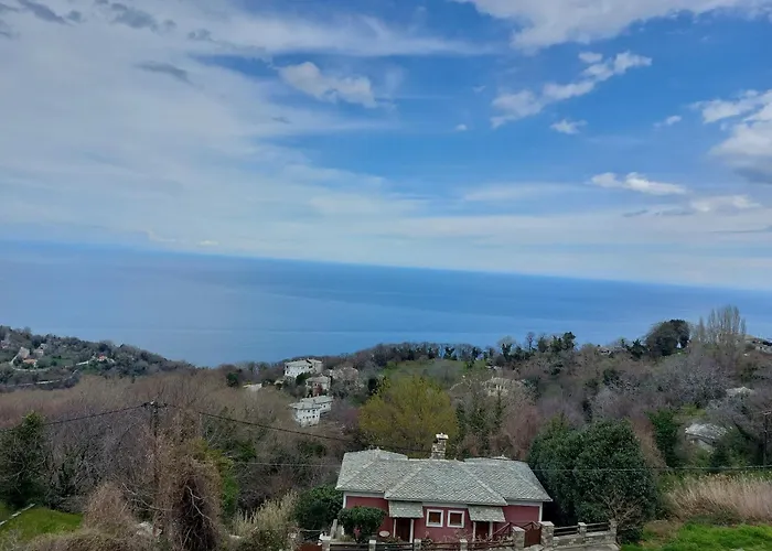 θαλλώ Luxurious *