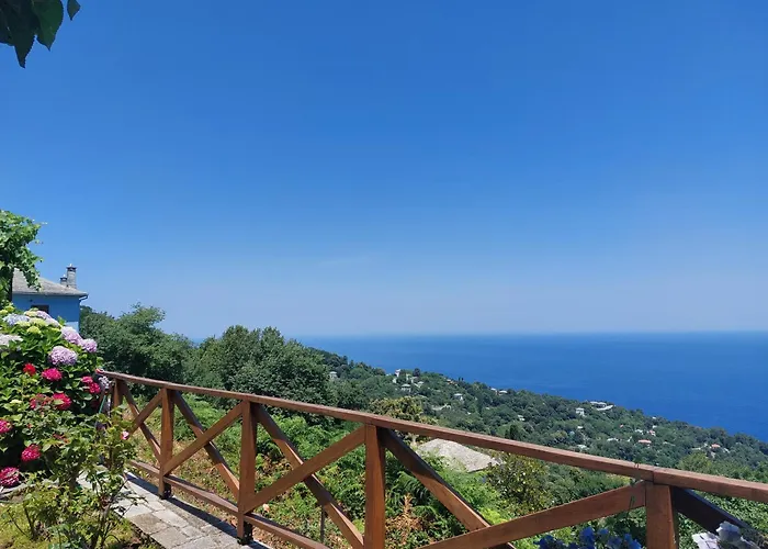 θαλλώ Luxurious