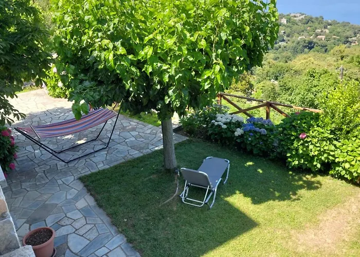 θαλλώ Luxurious