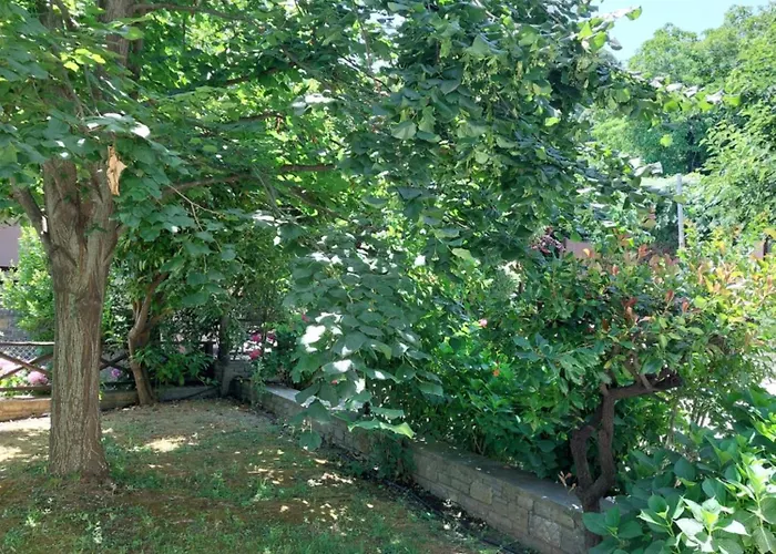 Βίλα θαλλώ Luxurious Τσαγκαράδα