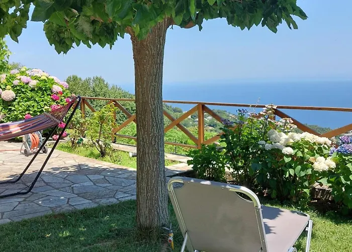 θαλλώ Luxurious Τσαγκαράδα