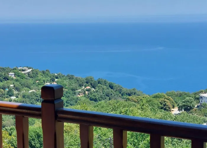 θαλλώ Luxurious