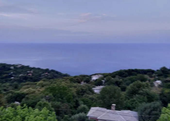 Βίλα θαλλώ Luxurious *