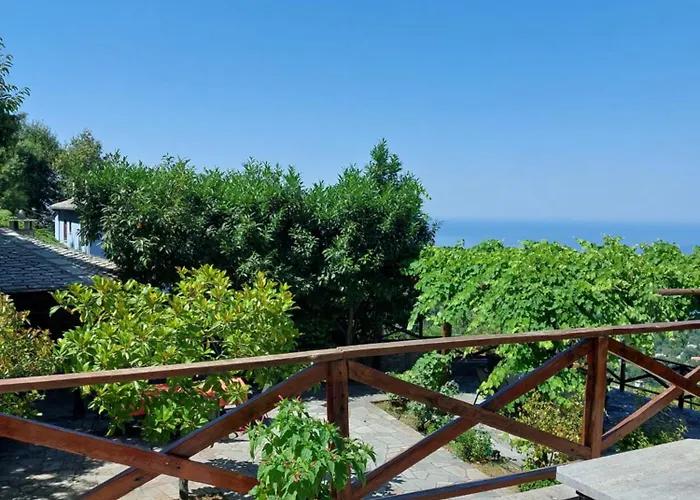 θαλλώ Luxurious