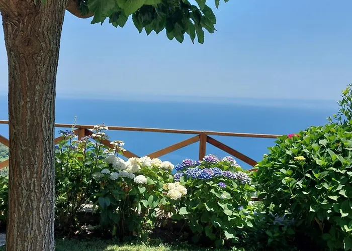 θαλλώ Luxurious Βίλα *