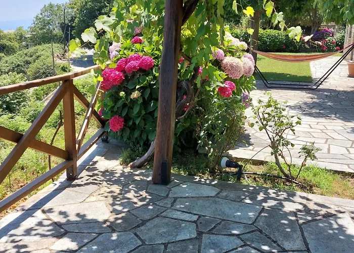 θαλλώ Luxurious * Τσαγκαράδα