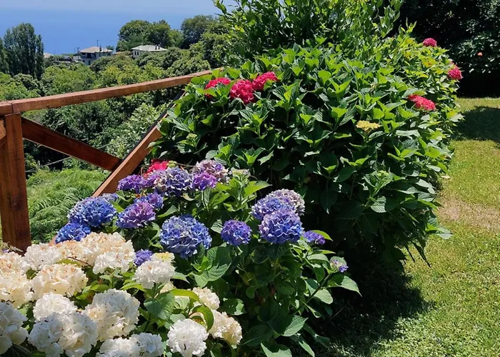 θαλλώ Luxurious *