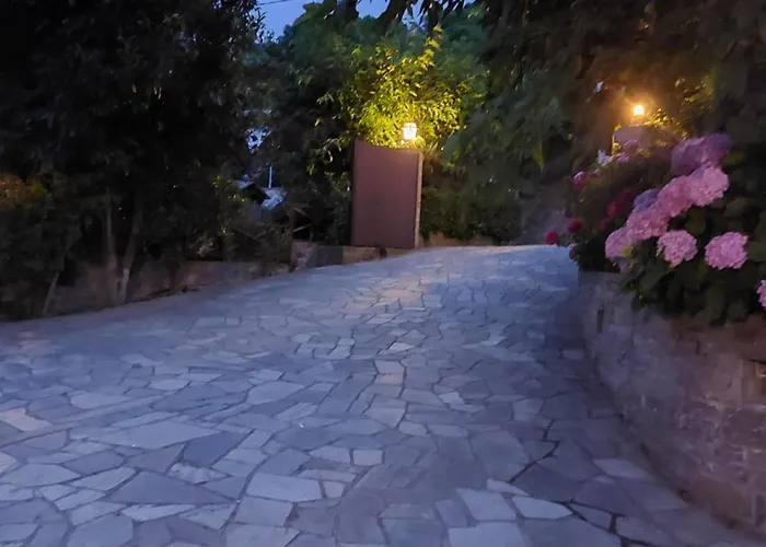 θαλλώ Luxurious